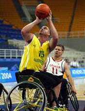 Australian Rollers