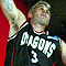 South Dragons Unleashed