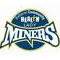 Lady Miners regain Ashby