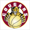 Cougars add talent