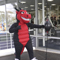 Boom time for Dragons fans