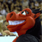 Calling all Dragons fans!