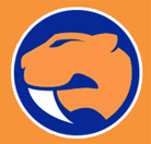 Sabres Logo
