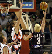 Shane Heal