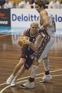 Taipans