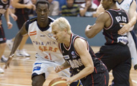 Heal v Adelaide