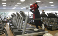 The hard yards